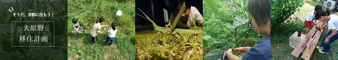 匴ڏZv, HX 쌚z݌vissj