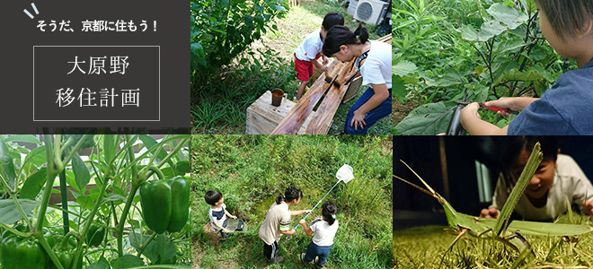 匴ڏZv, HX 쌚z݌vissj